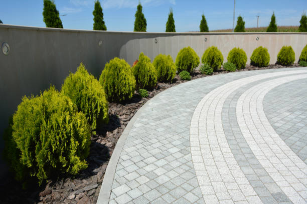 Best Cobblestone Driveway Pavers  in Clendon, AR